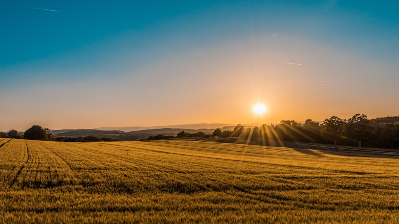 Florence farmland and open fields